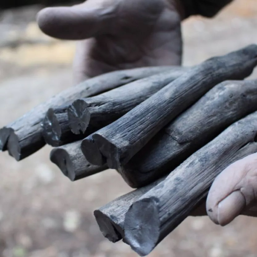 Carbón binchotan para jarra de 1 a 2 litros filtro natural zero waste